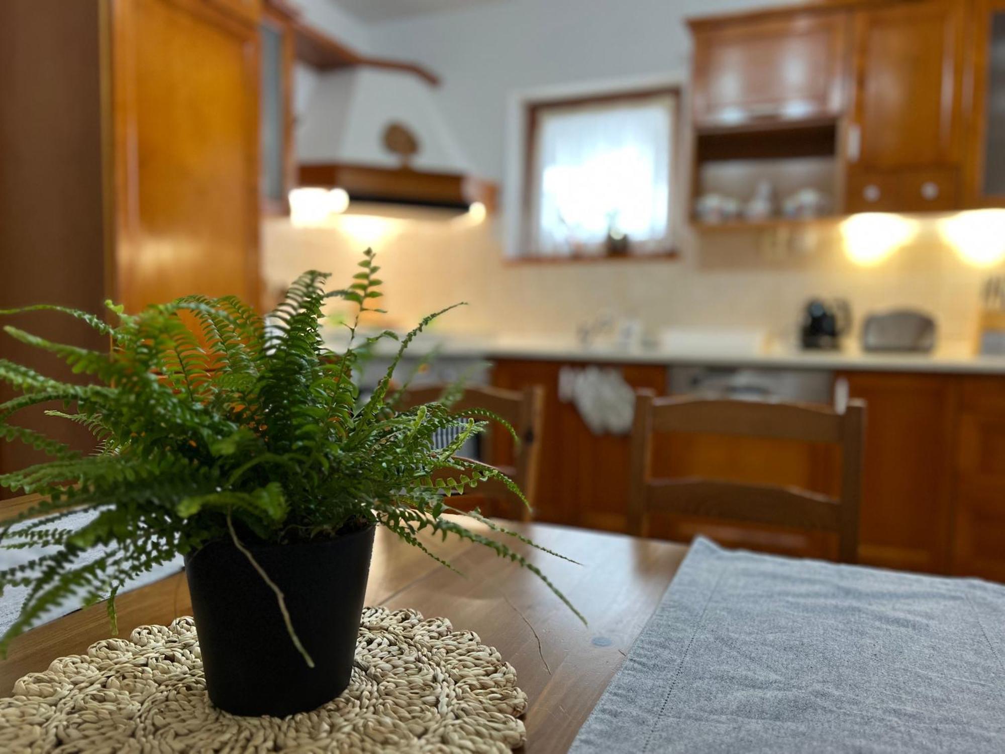 Chata Podolina Terchová Extérieur photo